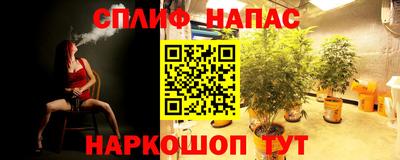 гидра Пугачёв