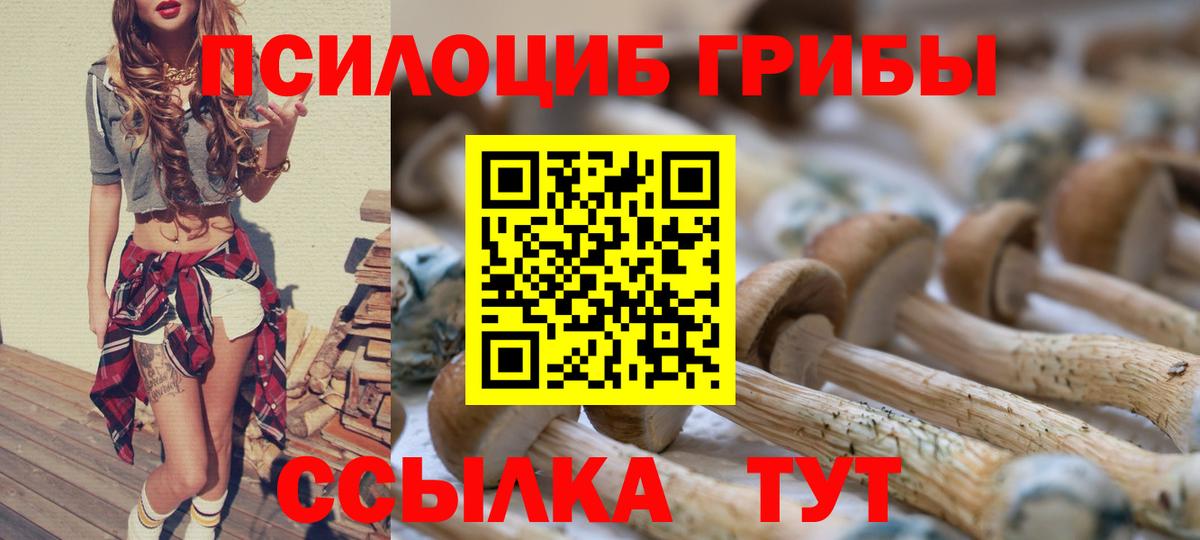 Псилоцибиновые грибы Cubensis Ртищево